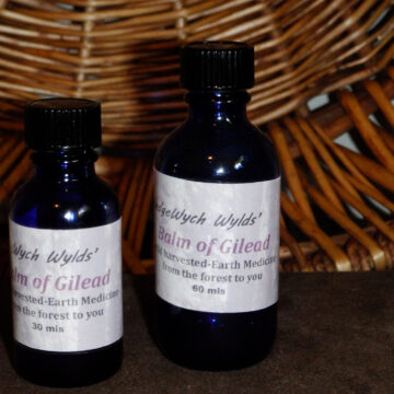 Balm of Gilead Oil